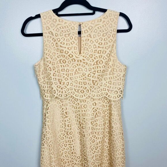 J. Crew Womens Size 4 Blush Pink Sleeveless Tiered Shift Dress in Teardrop Lace - Picture 9 of 10